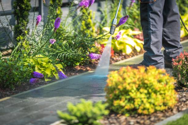 Trusted Lock Haven, PA Pressure Washing Experts